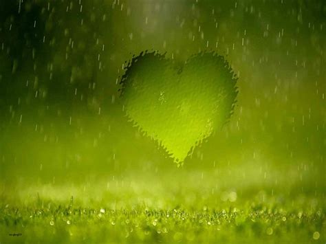 Love Rain Wallpapers Wallpaper Cave