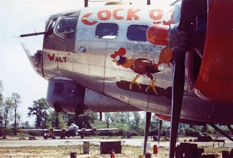 B17 nose art | Avion