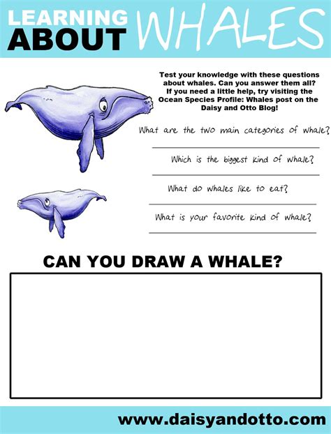 Whale Worksheets For Preschoolers Erikueno Blog