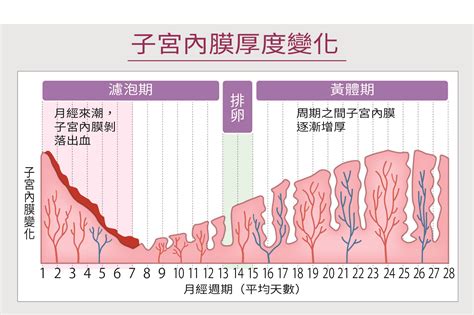 健康刊物 全民健康基金會