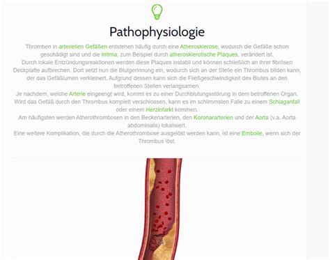 Startseite Anatomie Lernplattform