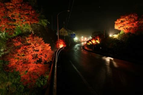 夜の紅葉を堪能！養老渓谷 紅葉ライトアップ＜11月23日（木・祝）～12月10日（日）＞開催 リビング千葉web