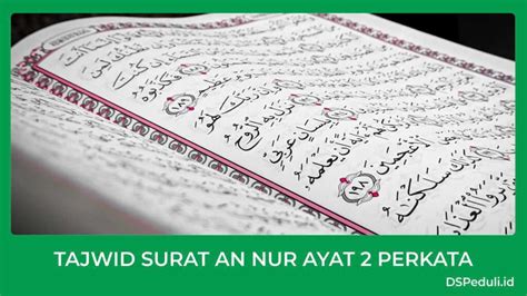 Hukum Bacaan Surat An Nur Ayat Perumperindo Co Id