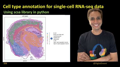 326 Cell Type Annotation For Single Cell Rna Seq Data Youtube