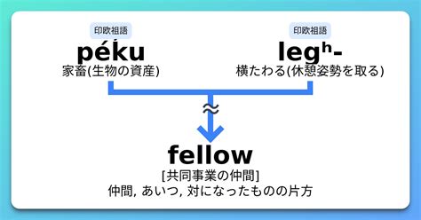 Fellow 語源とコアイメージと覚え方 意味・上位語・下位語 イメージ英単語