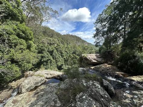 10 Best Hikes and Trails in Springbrook National Park | AllTrails