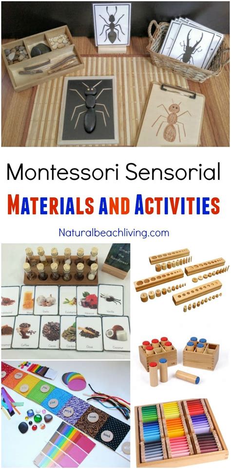 Montessori Sensorial Materials Every Child Will Love Natural Beach