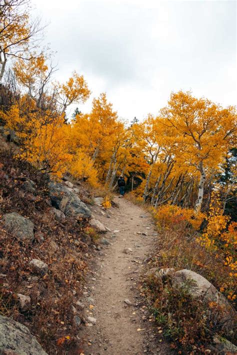 Bierstadt Lake Trail Hike From Bierstadt Lake Trailhead Roads And