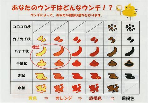 あなたの腸は、酸性？アルカリ性？ 骨格ボディメイク専門サロン モナリサ 梅田