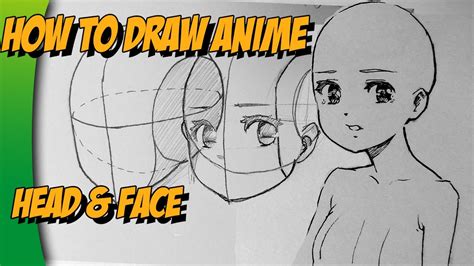 Draw Anime Heads However You Need To Know The Basics Of Human