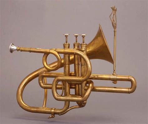 Brass musical instruments, Woodwind instruments, Brass instrument