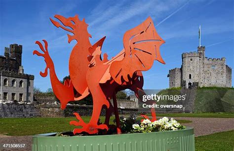 Welsh Dragon Photos And Premium High Res Pictures Getty Images