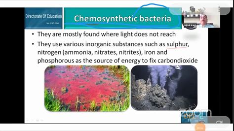 Class 11- Chemosynthetic Bacteria - YouTube