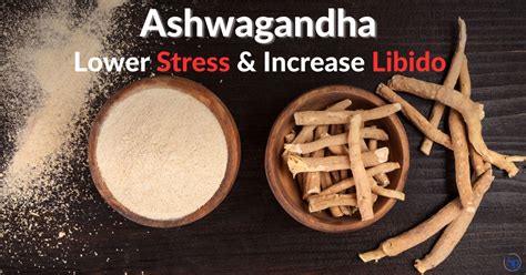 🌿 Ashwagandha Lower Stress And Increase Libido In 2023