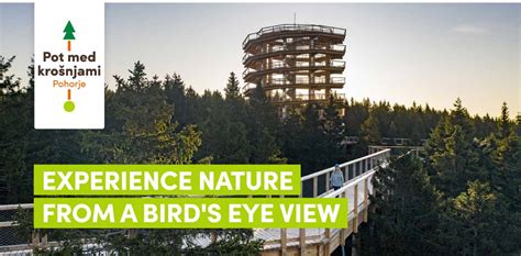 Treetop Walk Pohorje – Plan your visit 👇 ️