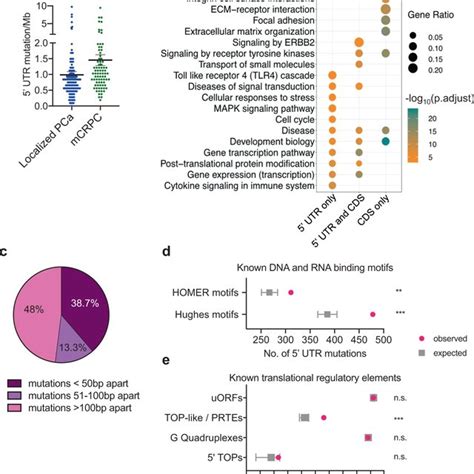 5 UTR Mutations In MAP Kinase Signaling Pathway Genes Associated With