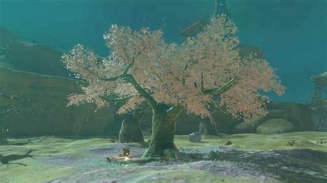 All Cherry Blossom Tree Locations In Tears Of The Kingdom Totk In