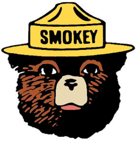 Download Smokey The Bear Clipart Smokey Bear Pillow Duvet - Smokey The ...