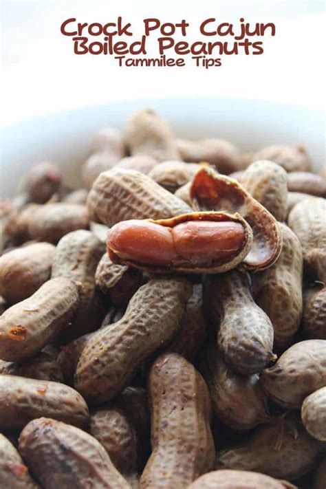 Crock Pot Cajun Boiled Peanuts - Tammilee Tips