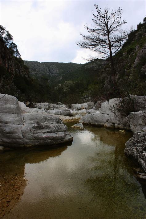 El Barranco Del Infierno Val D Ebo It S Only A Tree Flickr