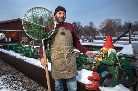 Obnovili Vyschl Rybn K A Nau Ili Lidi J St Kapra U Kalend Nakupuj I