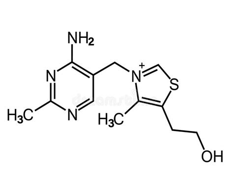 Vitamin B Vitamin B Formula For Healthcare Thiamin As A Healthy