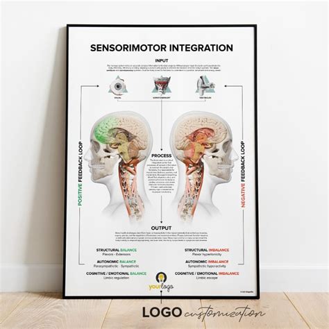 Sensorimotor Integration Chiropractic Poster