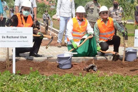 BTN Pembangunan Hutan Kota 2 Infobanknews