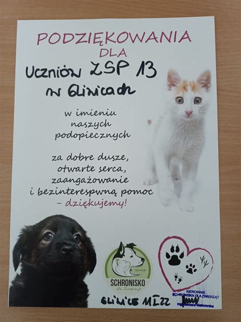 Podzi Kowanie Za Przekazanie Dar W Na Rzecz Schroniska Dla Zwierz T