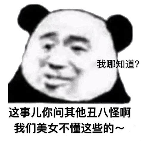 表情包 求求你不要再说了 外套