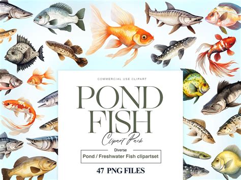 Free printable pond fish, Download Free printable pond fish png images