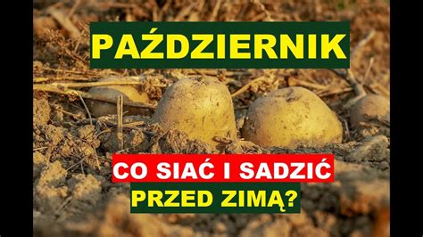 PAŹDZIERNIK CO SIEJEMY I SADZIMY PRZED ZIMĄ YouTube