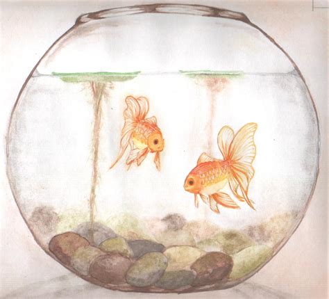 Fish Bowl Sketch at PaintingValley.com | Explore collection of Fish ...