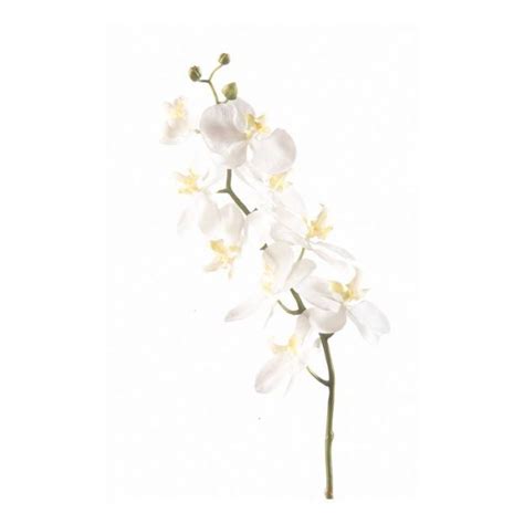 Rama De Orqu Deas Phalaenopsis Artificial Anae Blanco Cm