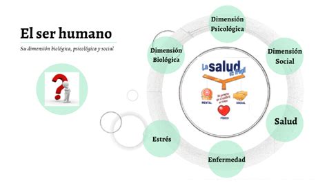 El ser humano Su dimensión biológica psicológica y social by Karina