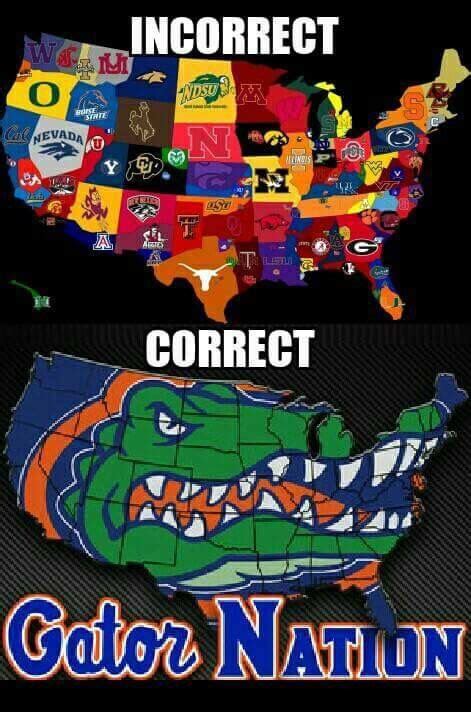 Gator Nation Fla Gators Florida Gators Softball Florida Gators College Uf Gator Lsu College