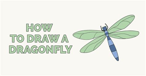 How To Draw A Dragonfly Really Easy Drawing Tutorial