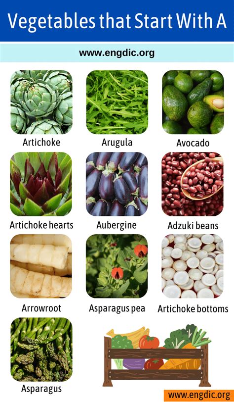 List Of Vegetables That Start With A EngDic