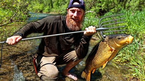 Spearfishing Lbs River Carp Using Amish Fish Spear The Quest