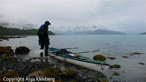 Kayaking in Alaska Glacier Bay NP – gonetraveling.de