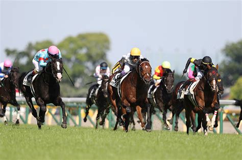 日本ダービー 2024 出走18頭（予想オッズ・騎手） 競馬専門紙「優馬」