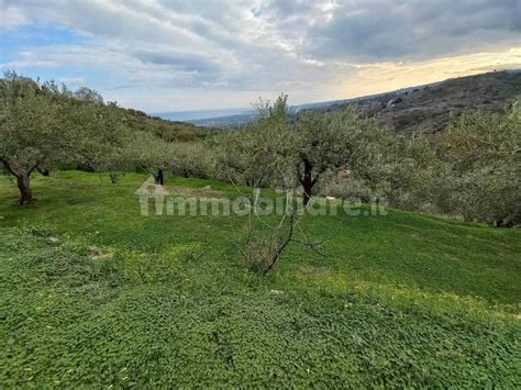 Terreno Agricolo Via Difesa Piedimonte Etneo Rif 109625577