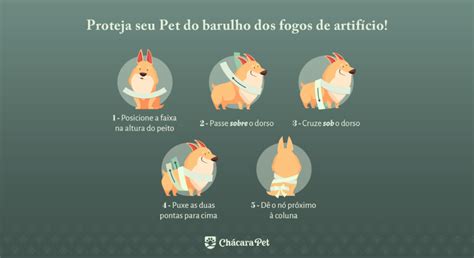 Como Proteger O Pet Dos Fogos De Artif Cio Descubra Aqui Ch Cara Pet