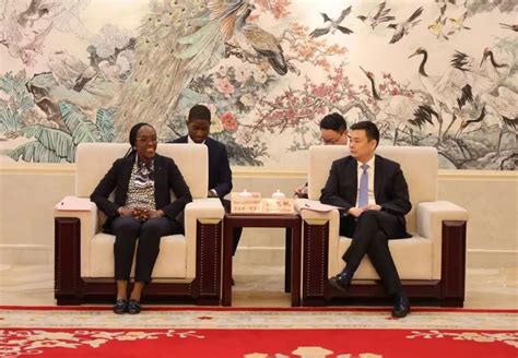 Mayor Tang Feifan Meets With Shadiya Alimatou Assouman Minister Of