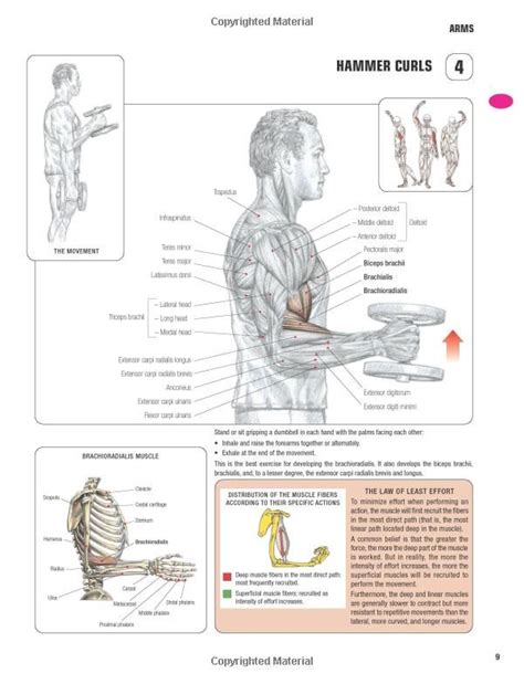 Strength Training Anatomy Rd Edition Strength Training Anatomy