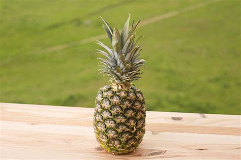 Pineapple Fresh Pineapple Leaf Photo Background And Picture For Free