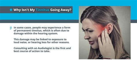 Causes Of Tinnitus Hearing Clinic Echo Audiology