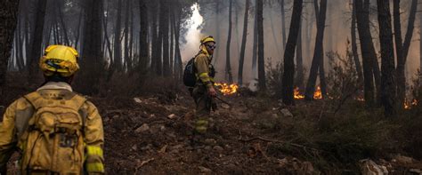 Enero de 2023 primer mes con menos hectáreas arrasadas por el fuego en