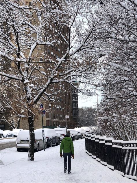 FOTOS Nueva York amanece cubierta con primera nevada del año