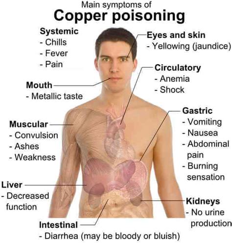 Copper Poisoning Symptoms Private Lab Results